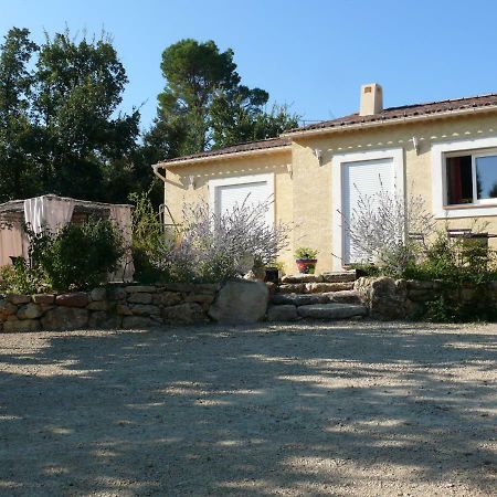 Les Karakis, Piscine Au Sel, Jardin 5000M2 Villa Les Arcs-sur-Argens Exteriör bild